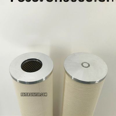 食品飲料店 天然ガスの相性フィルター要素を入れ替える DuoTov 90/736 重量1kg